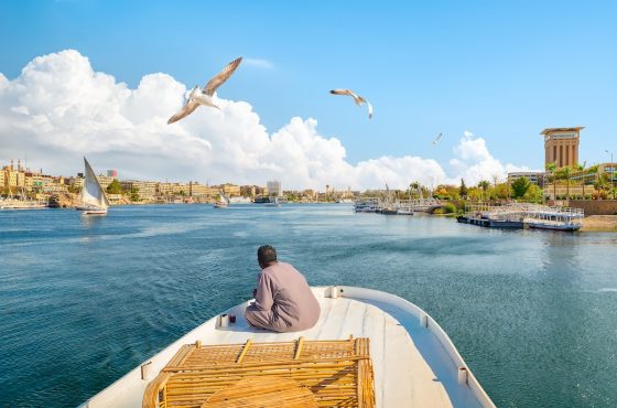 Bird Watching Tour in Aswan (Private Experience)